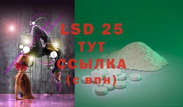 прущие грибы Балабаново