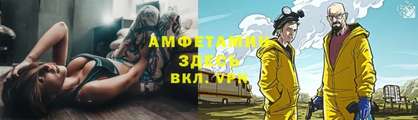 прущие грибы Балабаново