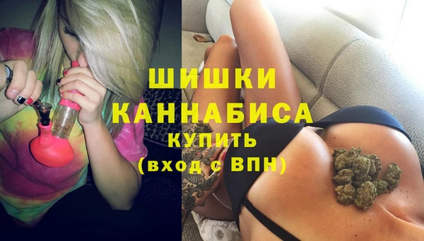 прущие грибы Балабаново