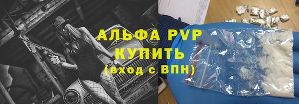 прущие грибы Балабаново
