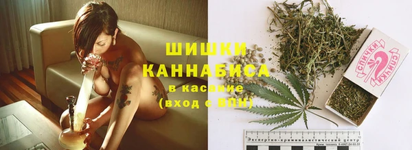 молекула духа Сосновоборск