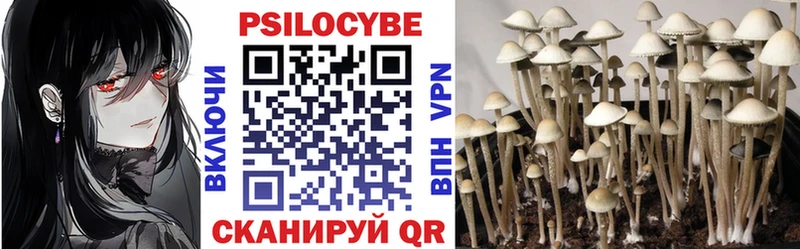 MEGA маркетплейс  Зеленогорск  Галлюциногенные грибы GOLDEN TEACHER 